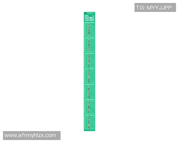 中国足球联赛时间安排与赛事进程分析及其对球队表现的影响