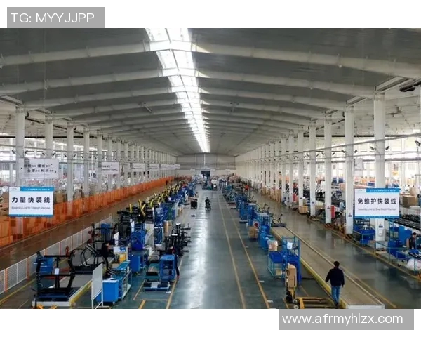 宁津地区健身器材企业全景指南及市场分析报告