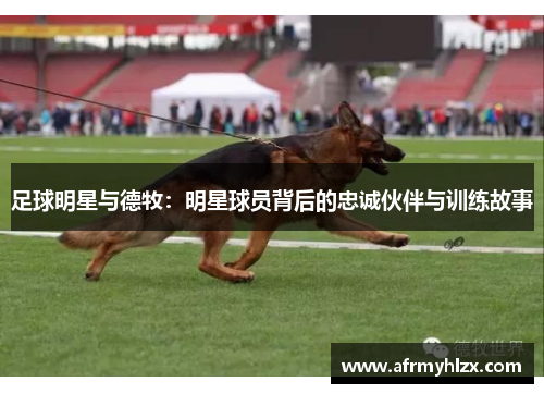 足球明星与德牧：明星球员背后的忠诚伙伴与训练故事