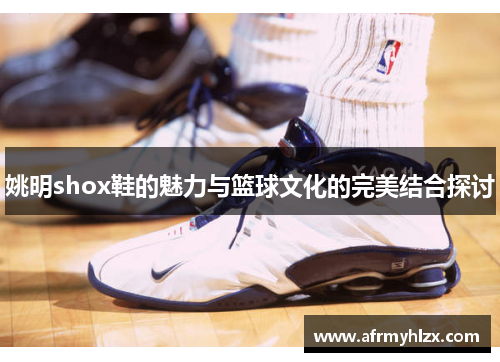 姚明shox鞋的魅力与篮球文化的完美结合探讨